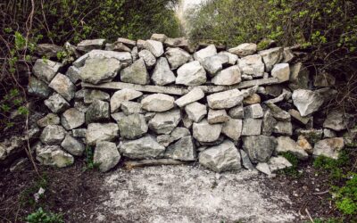 Cara Kerja LiDAR Scanner Pada Smartphone Modern